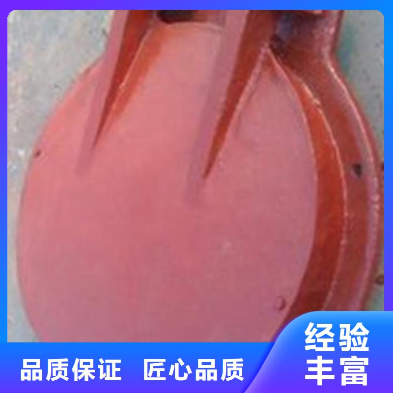 供应不锈钢拍门_厂家