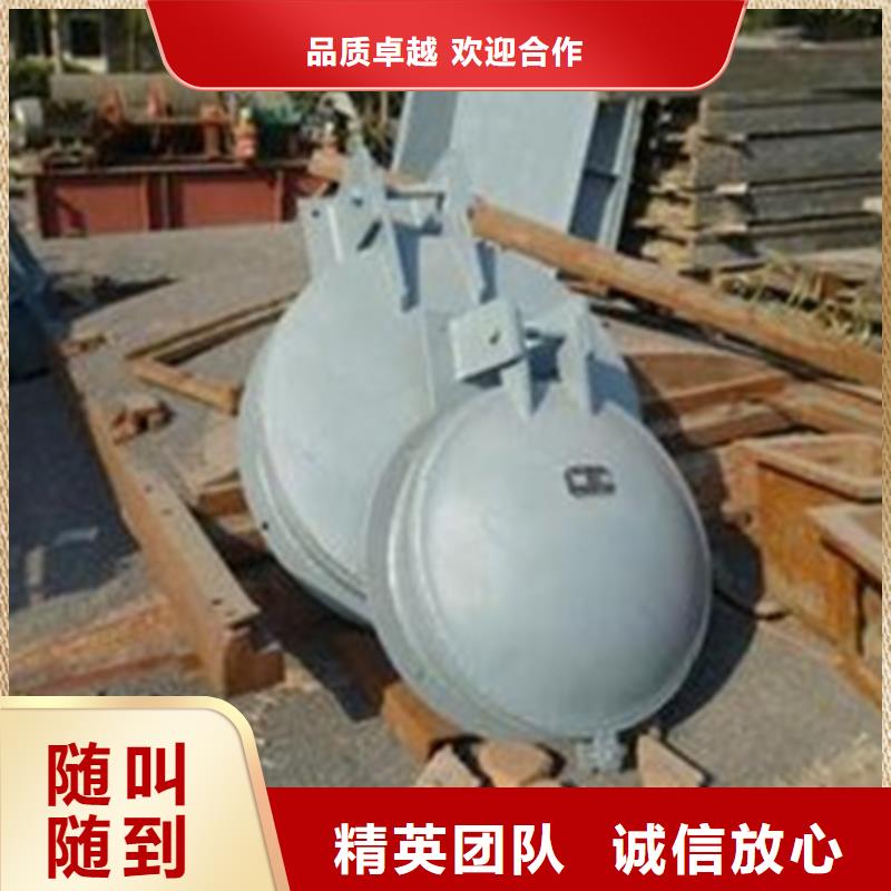 隆都镇铸铁拍门厂家价格
