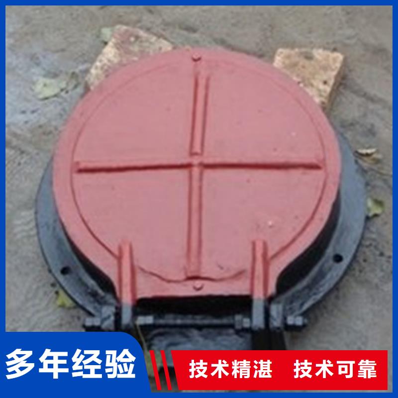 侧翻拍门-好产品放心可靠