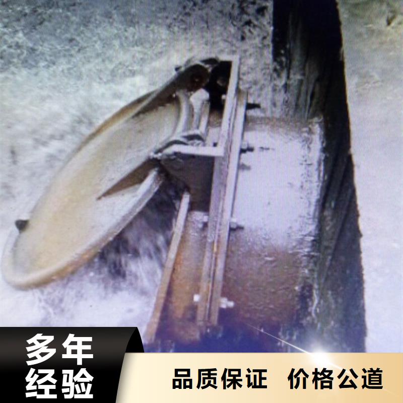 单开圆拍门