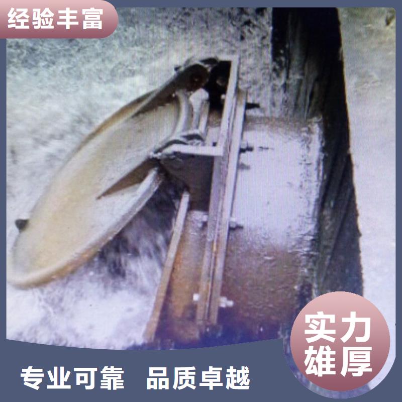 圆拍门价格实在