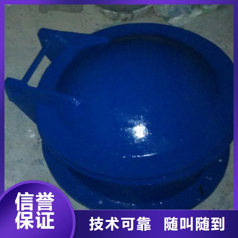 日土县浮箱拍门厂家价格