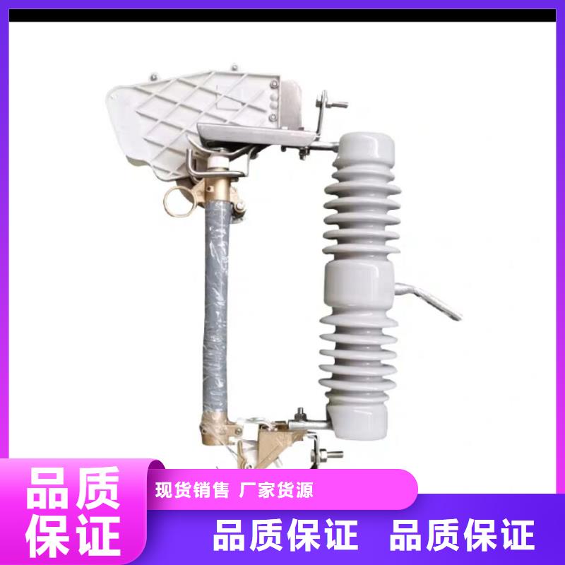 高压熔断器PRW12-15KV/100