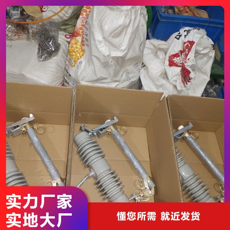 跌落式熔断器RW4-10-100A