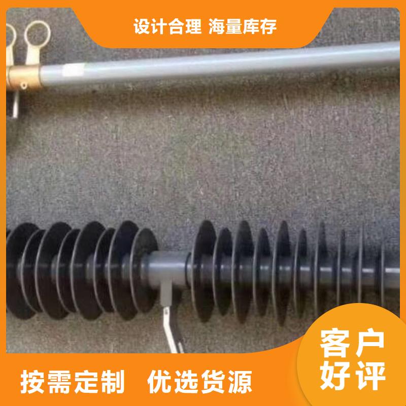 高压熔断器HRW12-12F/100A