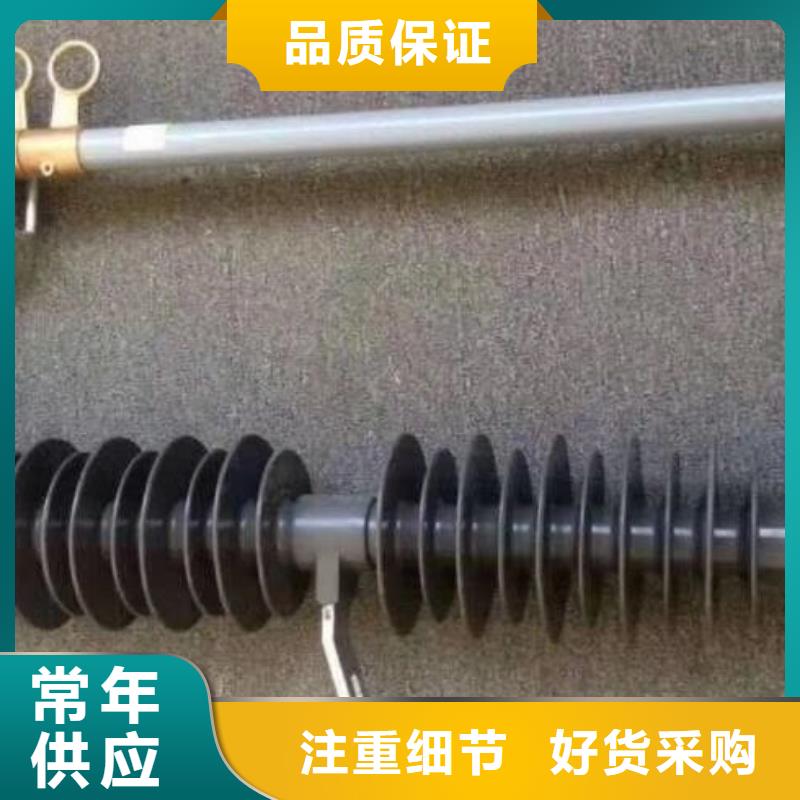 跌落式熔断器_RW12-10/100