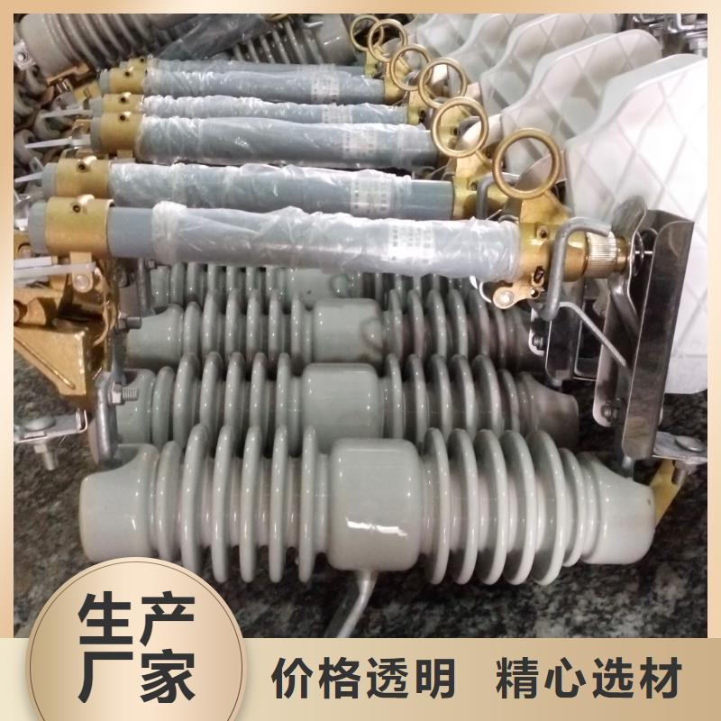 〖跌落式熔断器〗RW12-10/100A-上海羿振电力设备有限公司