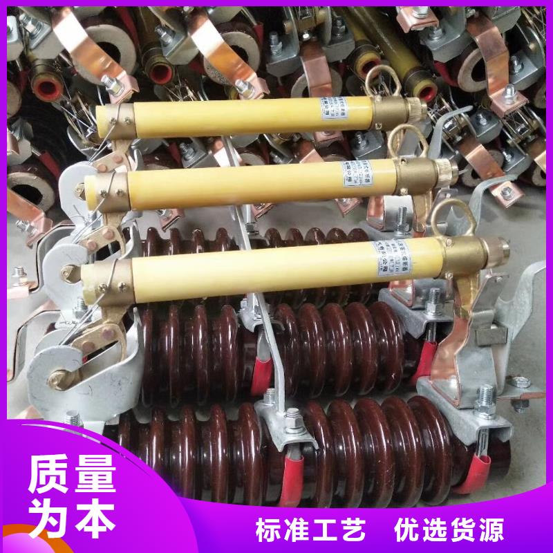 高压熔断器HRW12-10/100A