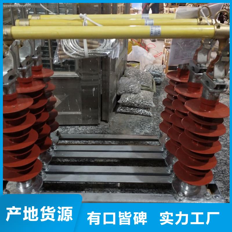 高压熔断器/HRW12-10KV/100A