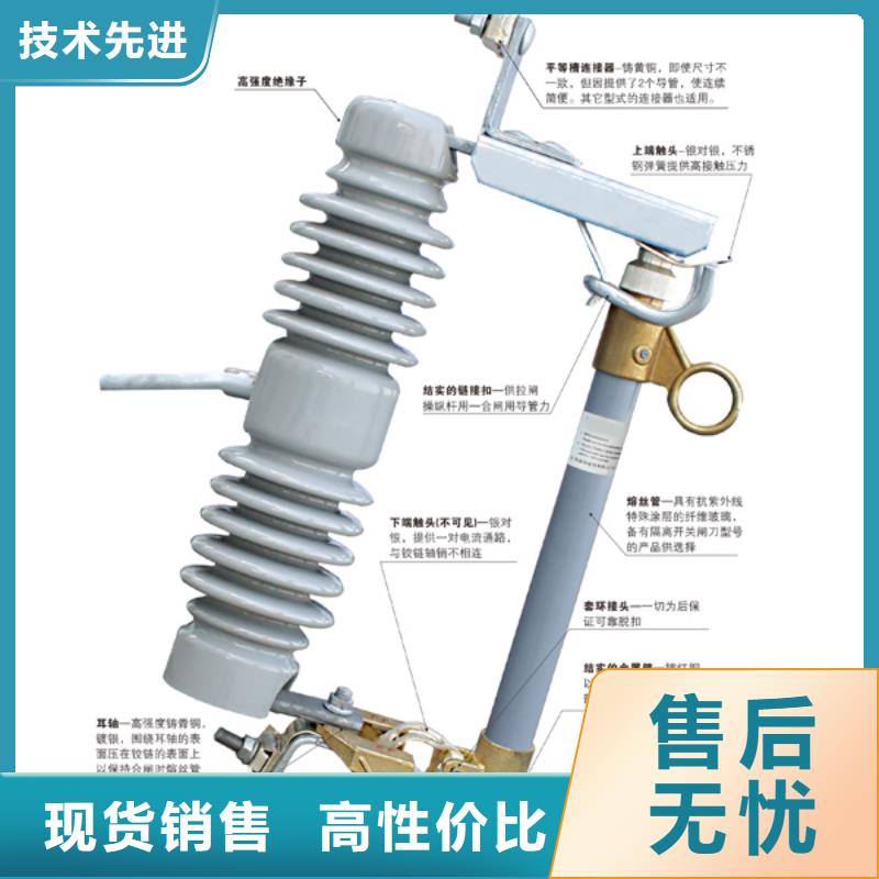 高压熔断器_RW12-12/100A