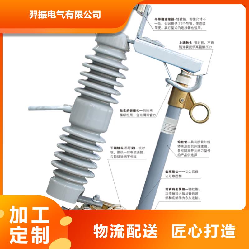 -高压熔断器/RW12-10F/100A