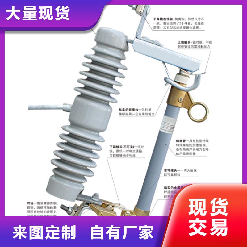 高压熔断器_RW12-12/100A