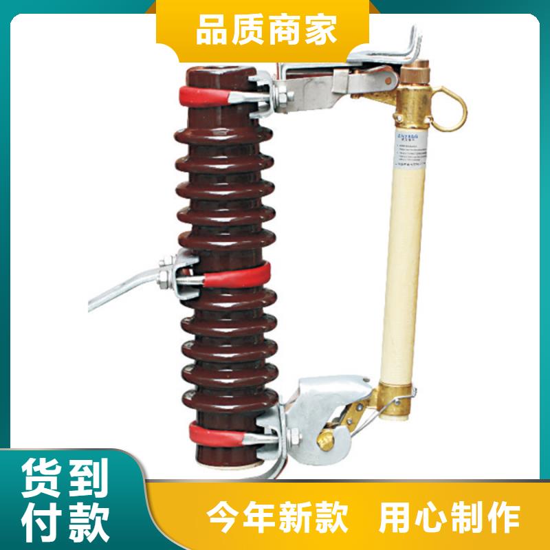高压熔断器HRW12-12F/100A