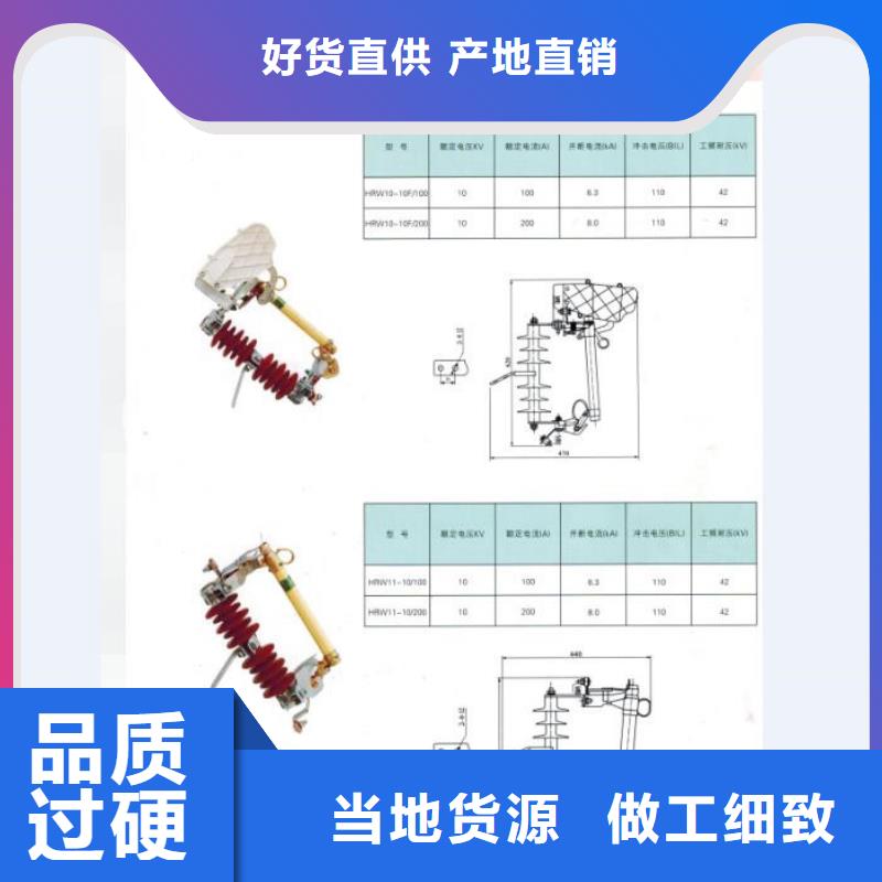 高压熔断器_RW12-15/100
