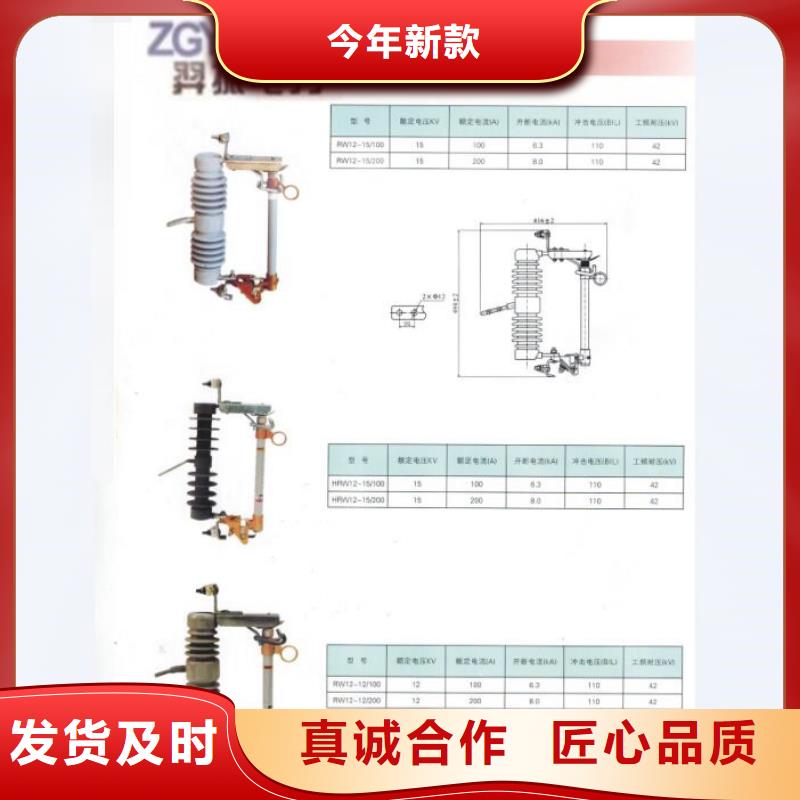 熔断器三相组合式避雷器源头厂商