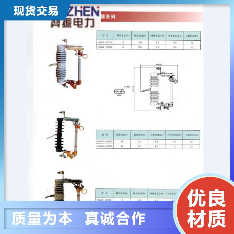 高压熔断器/RW5-66/100A