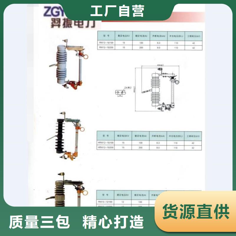 高压熔断器_RW12-10F/100A