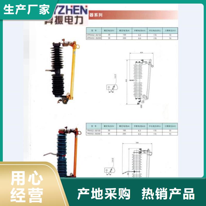 跌落式开关.跌落保险RW12-24F/100A