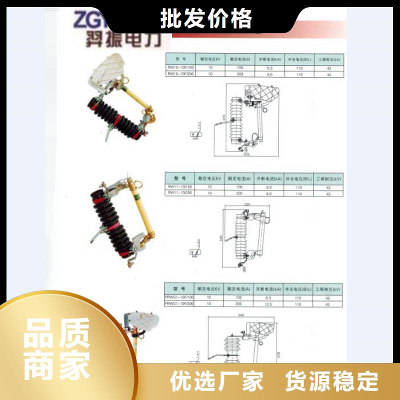 高压熔断器/HRW12-10KV/200