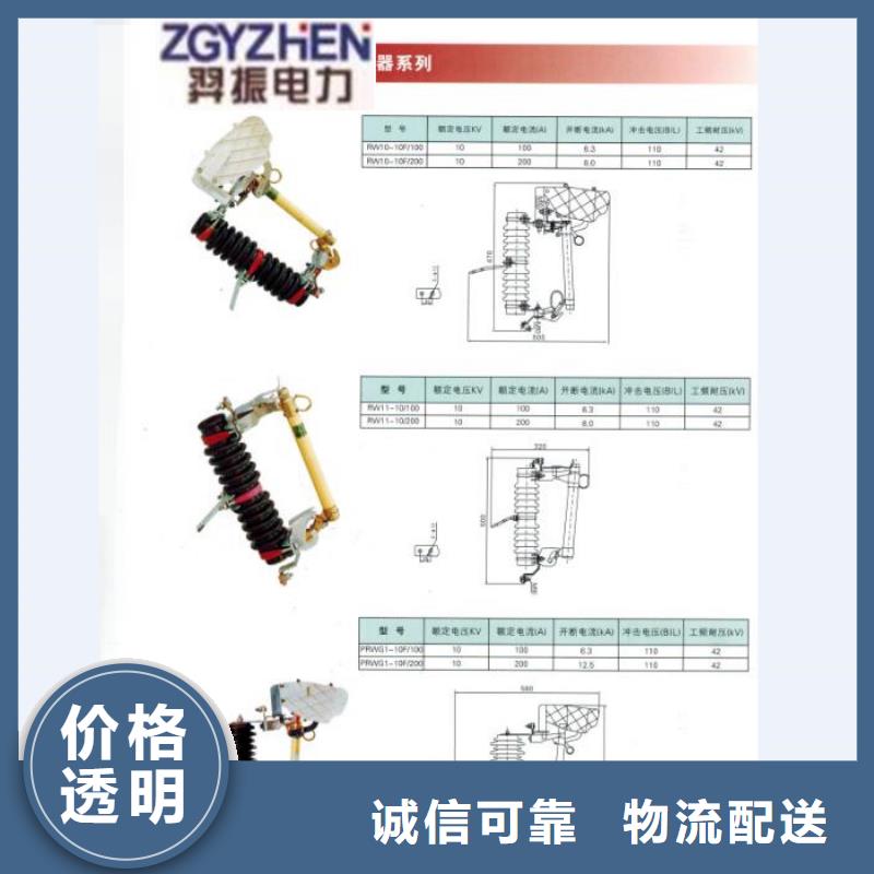 高压熔断器/RW11-12F/200A