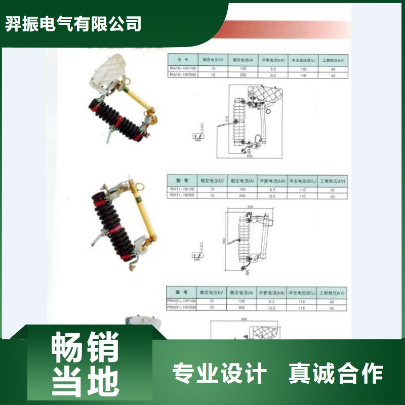 【熔断器】RW12-12/100A