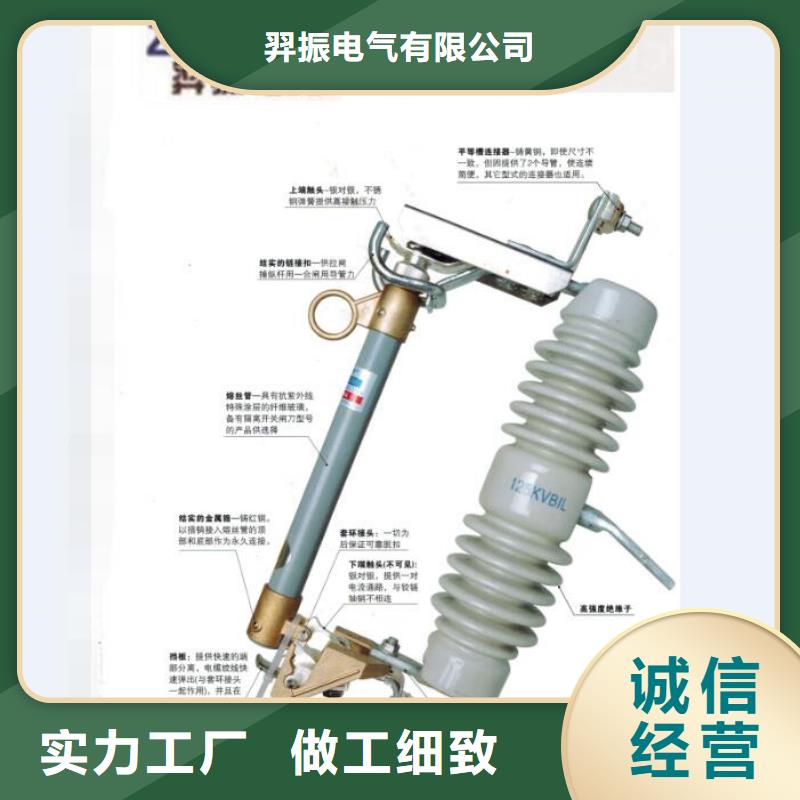 高压熔断器/RW11-10/100-12.5.