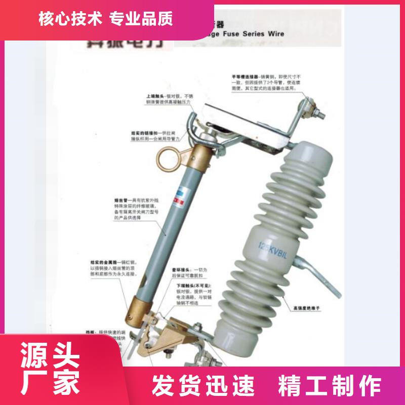 〖跌落式熔断器〗RW12-12KV/100A-上海羿振电力设备有限公司