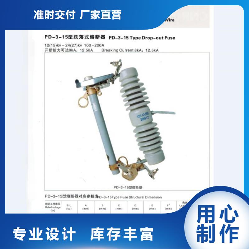 66KV跌落式熔断器RW6-66GY/100A