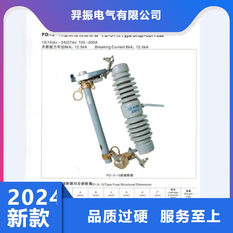 熔断器-高压隔离开关厂家用心做好每一件产品