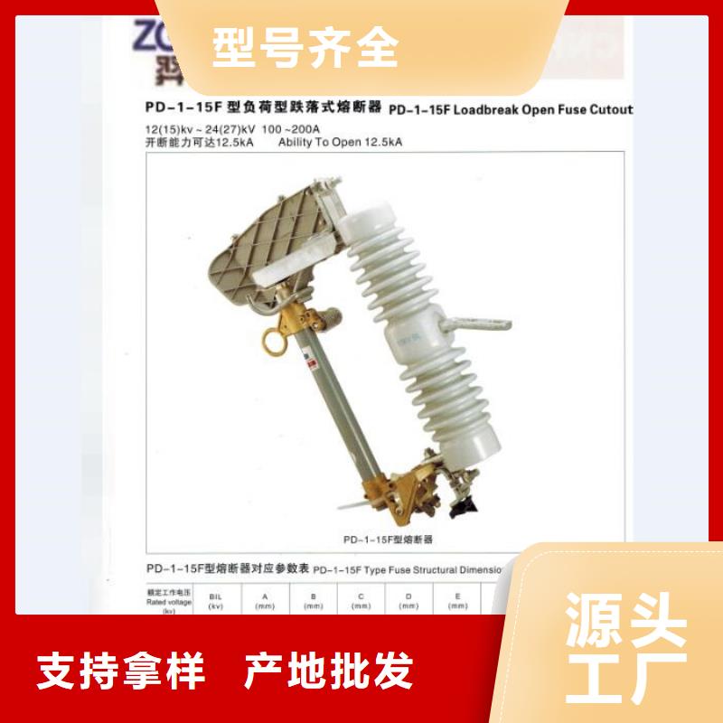 高压熔断器/RW11-12F/100