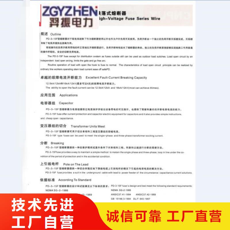 高压熔断器/RTF5-15/100