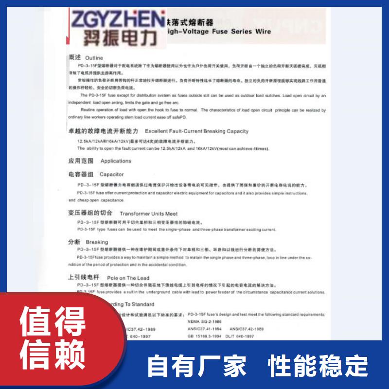 高压熔断器/RW11-12F/100