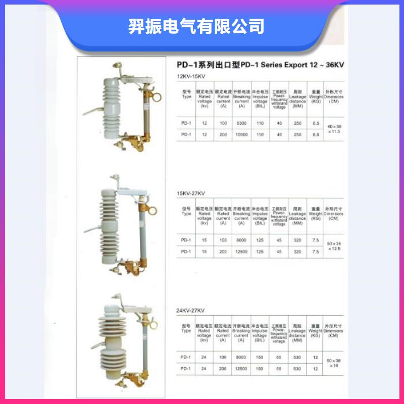 熔断器避雷器源头厂家直销
