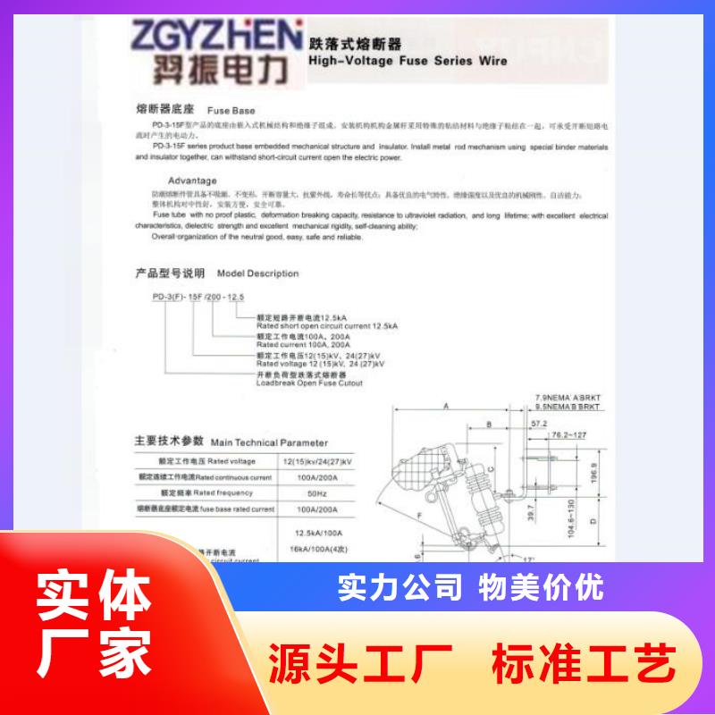 熔断器【跌落式开关】RW12-10/100A生产厂家