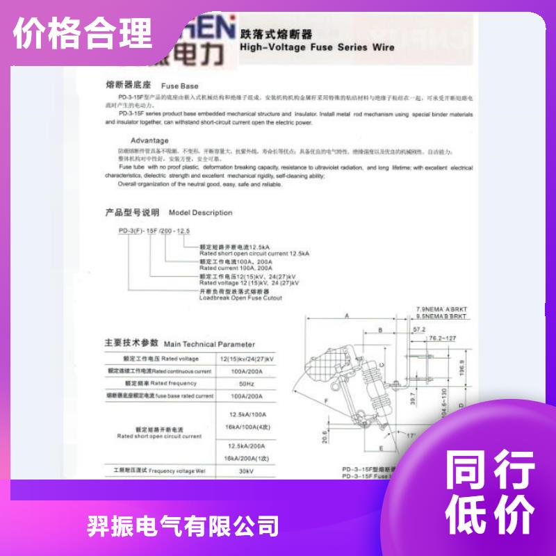 高压熔断器/RW11-12F/100