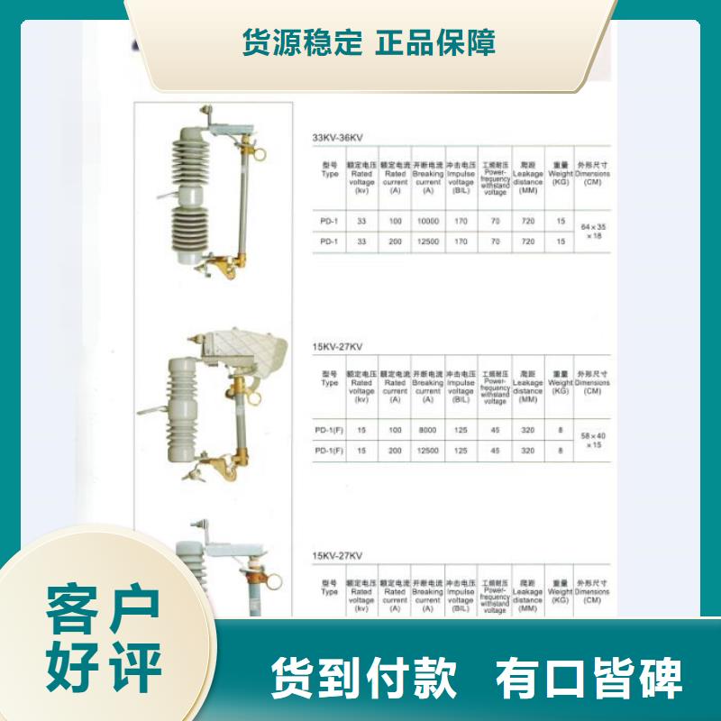 高压熔断器/RW4-12.12KV