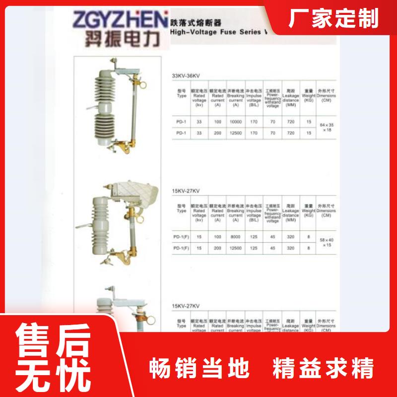 高压熔断器/HRW12-10KV/200