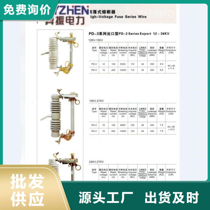 户外高压跌落式熔断器熔丝具RW12-10F/200A