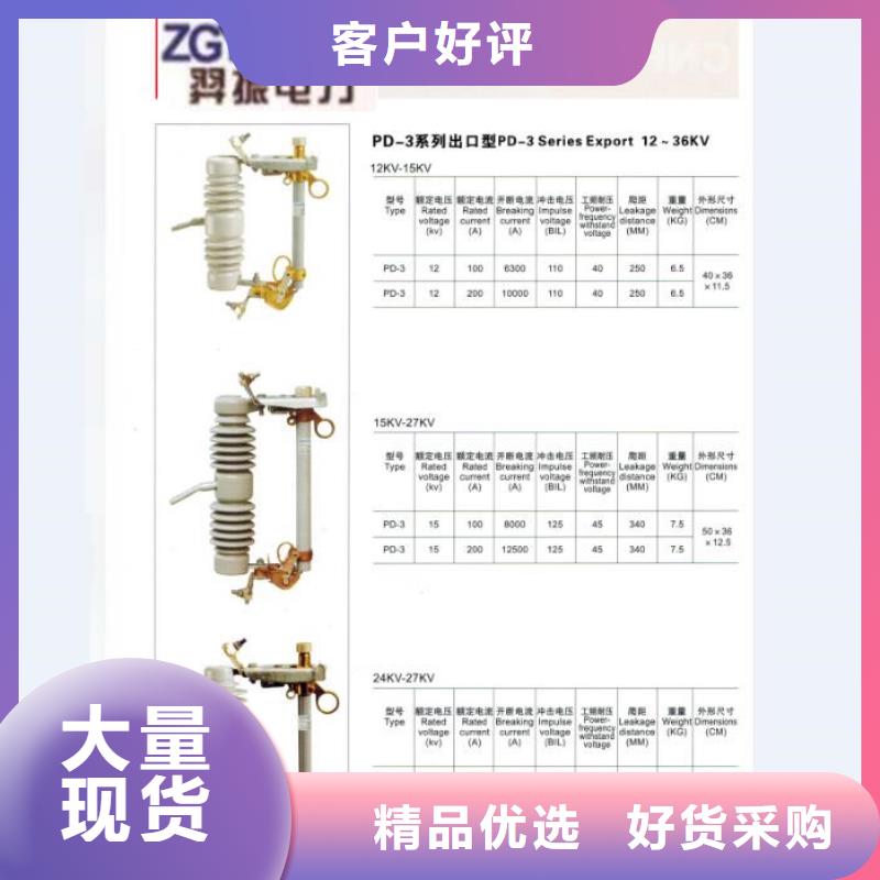 高压熔断器/RW5-63G/200A