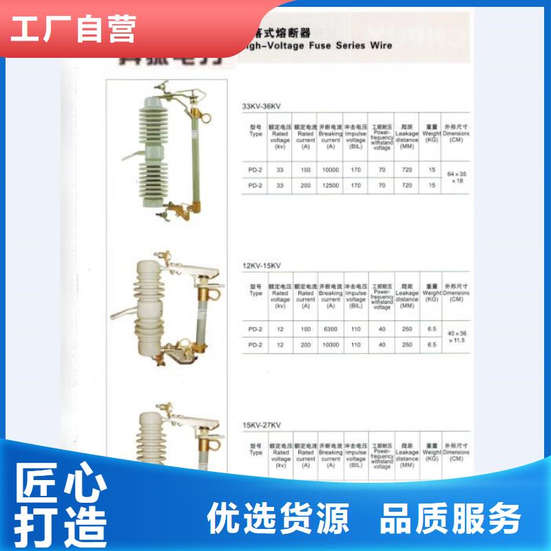 高压熔断器RW12-12F/100A/价格优惠