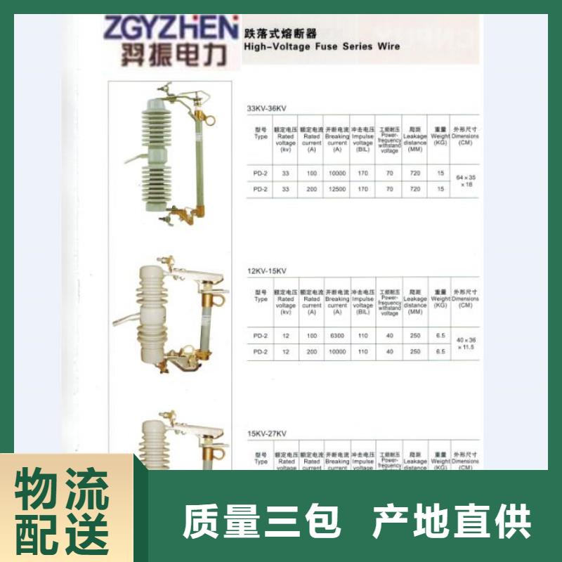 高压熔断器/RW11-12F/100