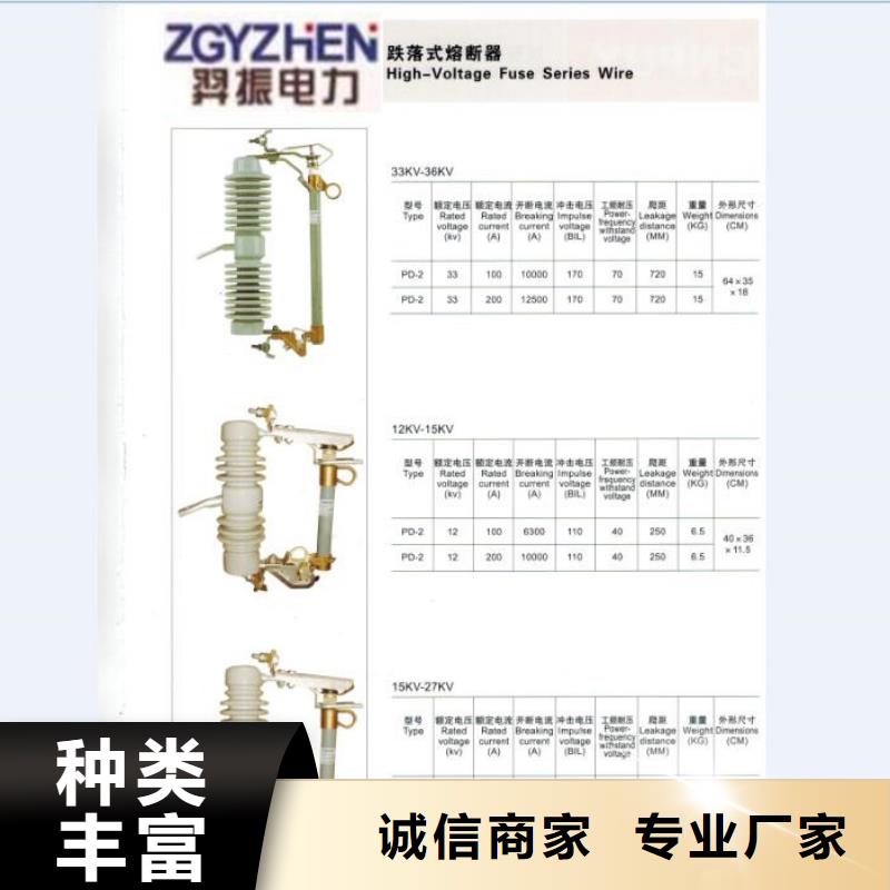 高压熔断器_HRW12-15F/100A