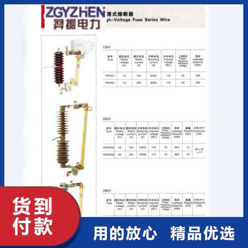 高压熔断器/JGPRW8-12-100跌落式熔断器