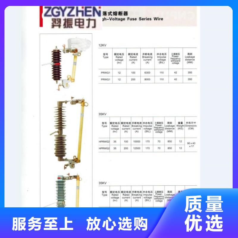 【跌落式熔断器】RW11F-12/100A