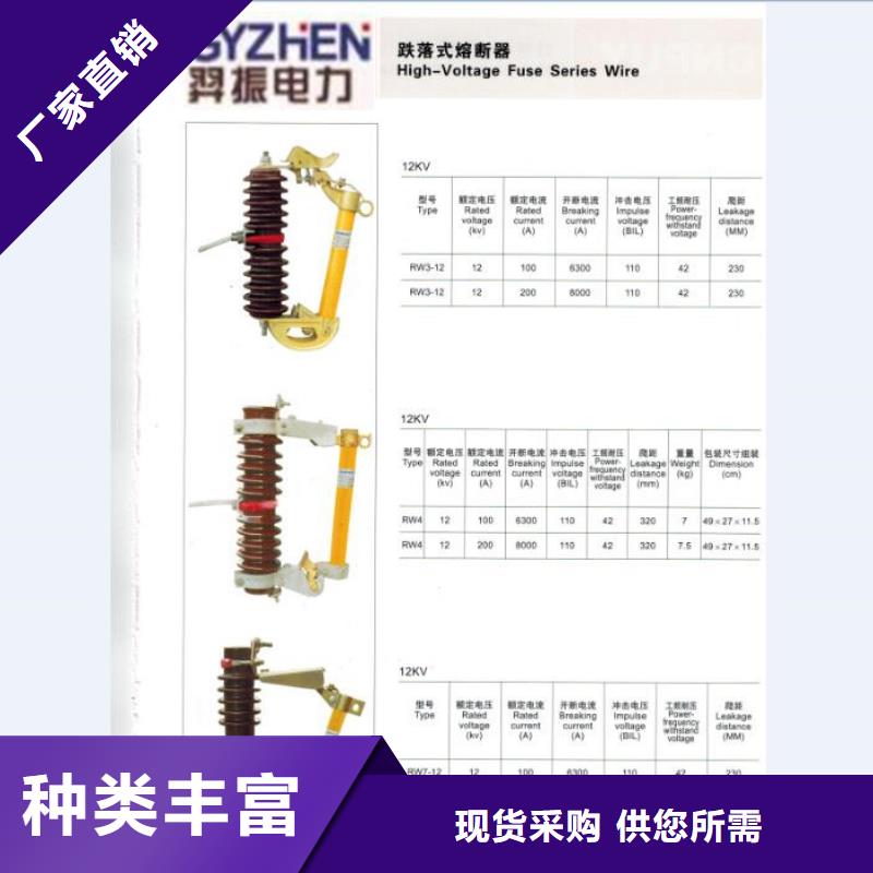 【跌落式熔断器】RW11F-12/100A