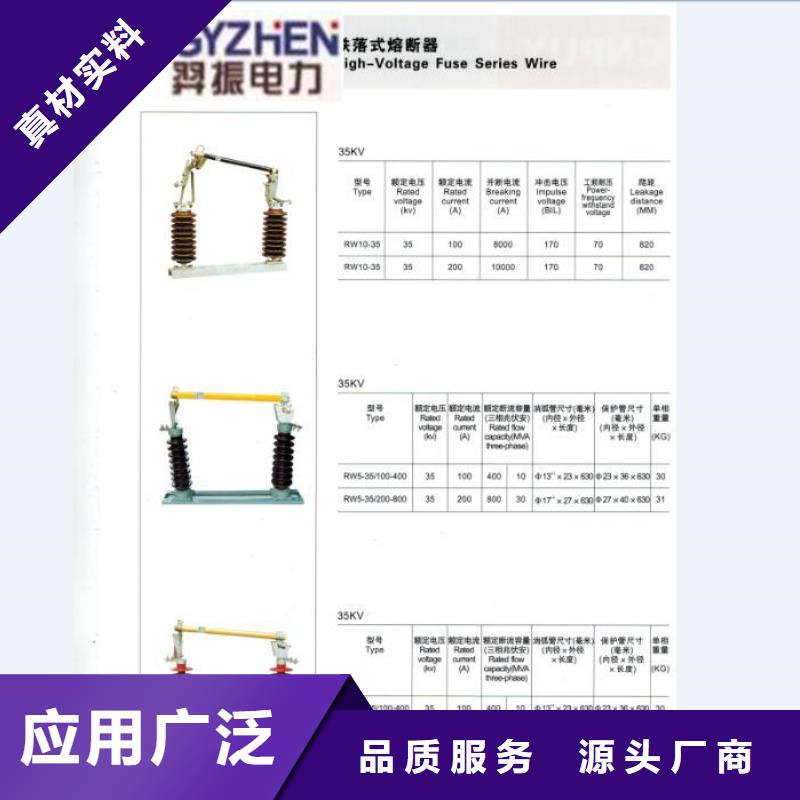 -高压熔断器/RW12-10F/100A