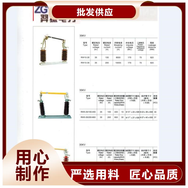 户外高压跌落式熔断器熔丝具RW12-12/100A