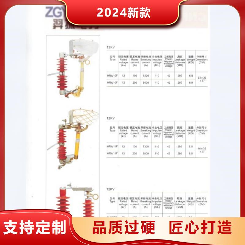 高压熔断器_HRW12-15F/100A