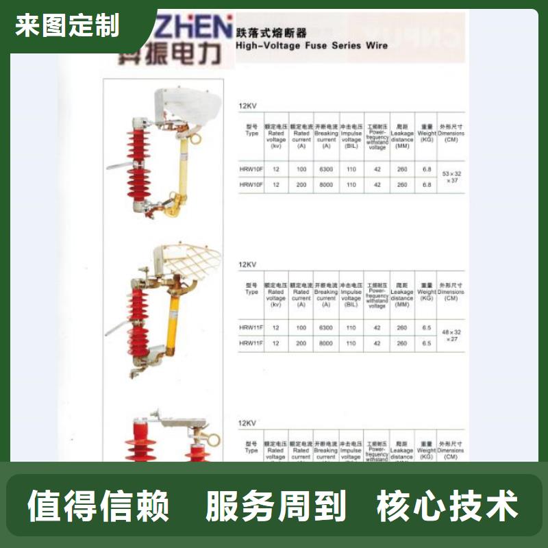 【跌落式熔断器】RW12-10F/100A浙江羿振电气有限公司