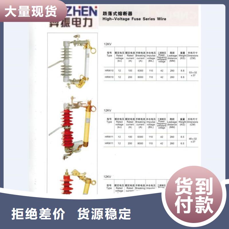高压熔断器/RW11-12F/100